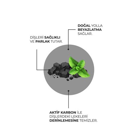 Agarta Doğal Hindistan Cevizi Özlü Aktif Karbonlu Florürsüz Diş Macunu 100 ml