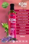 Care Up Kdn Plus Hayıt Otu, Civan Perçemi İçeren Sirke Karışımı 500 ml