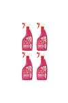 Miss Lekesiz Leke Çıkarıcı 750ml x 4 Adet