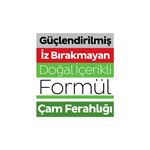 Sleepy Meyve Serisi Yüzey Temizlik Havlusu Mendili Ananas 6x100 (600 Yaprak)