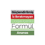 Sleepy Meyve Serisi Yüzey Temizlik Havlusu Mendili Ananas 100 Yaprak