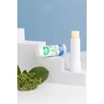 Siveno %100 Doğal Dudak Koruyucu Yoğun Etki Bitkisel Lip Balm Krem Nemlendirici Parlatıcı Onarıcı 6 gr