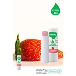 Siveno %100 Doğal Dudak Koruyucu Çilek Bitkisel Lipbalm Dudak Kremi Nemlendirici Parlatıcı Onarıcı 6 G