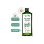 Agarta Yağlı Saçlar Için Arındırıcı Tuzsuz Şampuan 400 ml