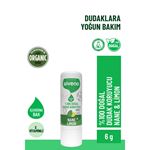 Siveno %100 Doğal Dudak Koruyucu Nane & Limon Bitkisel Lipbalm Krem Nemlendirici Parlatıcı Onarıcı 6 G