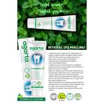 Agarta Doğal Bitki Özlü Florürsüz Beyazlatıcı Diş Macunu 100 ml