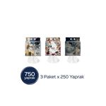 Papia Home Asmalı Havlu 750 Yaprak (3 Paketx250 Yaprak)